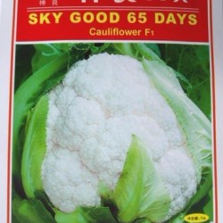 供应神良65天—花椰菜种子