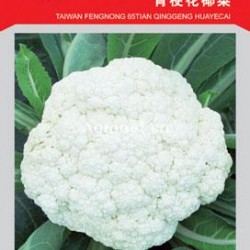 供应台湾丰农65天——花椰菜种子