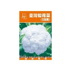 供应台湾松花椰菜120天——花椰菜种子