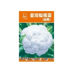 供应台湾松花椰菜65天——花椰菜种子