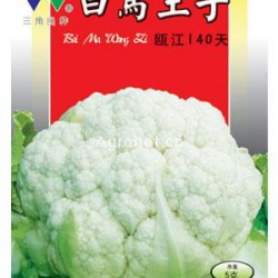 供应白瓯江140—花椰菜种子