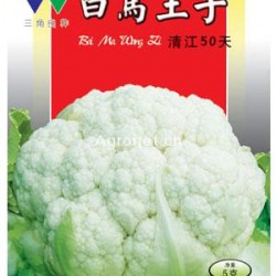 供应白马王子60-清江50天—花椰菜种子