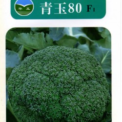 供应青玉80F1（西兰花）——青花菜种子