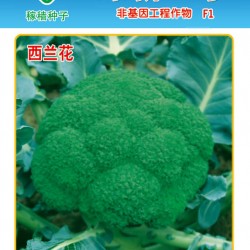 供应绿新三号—青花菜种子