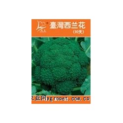 供应台湾西兰花85天——青花菜种子