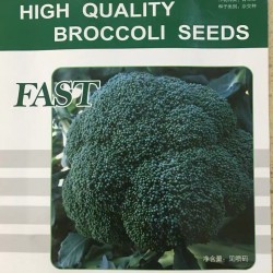 供应法斯特—青花菜种子