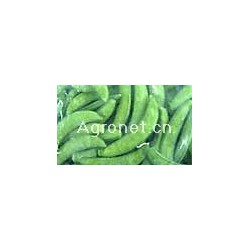 供应豌豆种子-爽密甜脆碗豆种（338）
