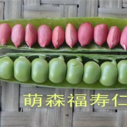 供应萌森牌福寿仁—豌豆种子