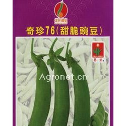 供应奇珍76（甜脆豌豆）—豌豆种子