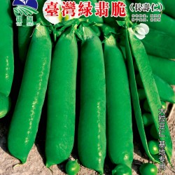 供应台湾绿翡翠