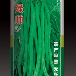供应绿帅罐子—菜豆种子