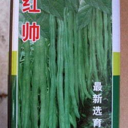 供应红帅—架豆种子