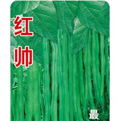 供应红帅罐贴—菜豆种子