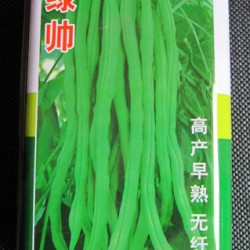 供应绿帅—架豆种子