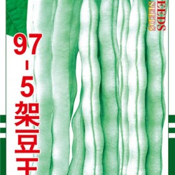 供应97-5菜豆种子