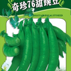 供应奇珍76甜豌豆—菜豆种子