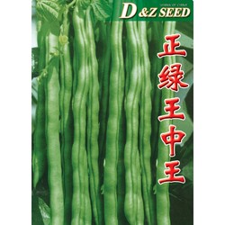 供应正绿王中王—菜豆种子