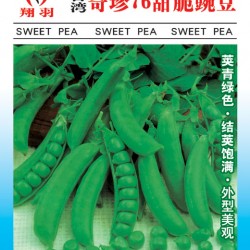 供应奇珍76甜脆豌豆-菜豆种子