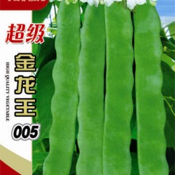 供应超级金龙王005—菜豆种子