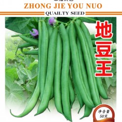 供应地豆王——菜豆种子
