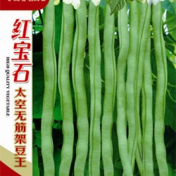 供应红宝石太空无筋架豆王—菜豆种子