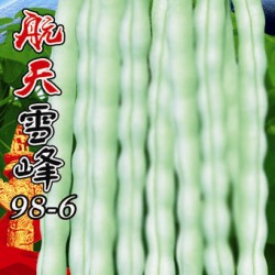 供应航天雪峰98-6—菜豆种子