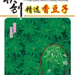 供应香豆子—菜豆种子