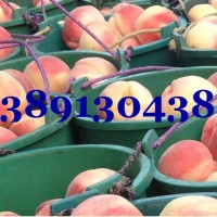 早熟毛桃价格-陕西万亩620毛桃，新颖毛桃沙红桃产地上市价格