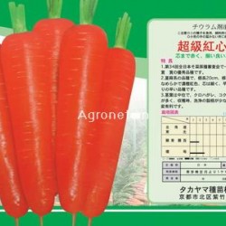 供应特别推荐日本原装进口超级红心胡萝卜种子