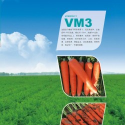 供应VM3