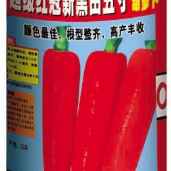 供应超级红冠新黑田五寸胡萝卜—胡萝卜种子