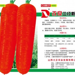 供应改良三红新黑田—胡萝卜种子