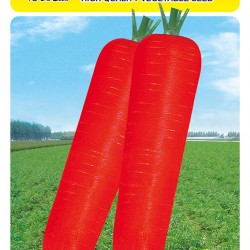 供应日本超级三红——胡萝卜种子