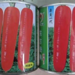 供应东方经典—胡萝卜种子