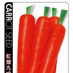 供应红冠六寸—胡萝卜种子