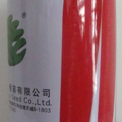 供应韩国三红七寸—胡萝卜种子