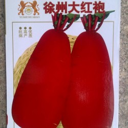 供应徐州大红袍萝卜种子