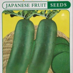 供应日本水果萝卜—萝卜种子