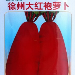 供应徐州大红袍萝卜—萝卜种子