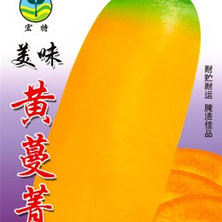 供应黄蔓菁—萝卜种子