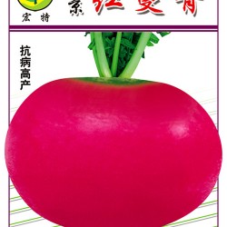 供应红蔓菁—萝卜种子