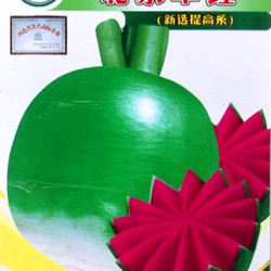 供应北京翠红-萝卜种子
