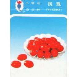 供应凤珠(409)小番茄