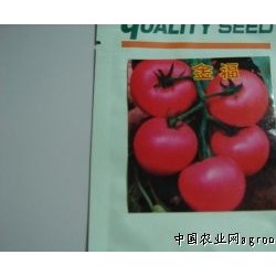 供应番茄种子---金福