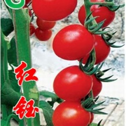 供应〖红钰〗樱桃番茄种子