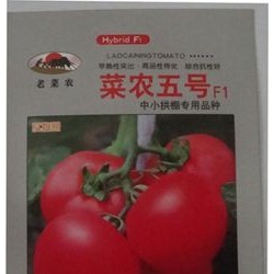 供应菜农五号F1(中小拱棚专用品种)