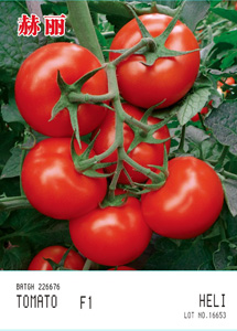 供应赫丽-番茄种子
