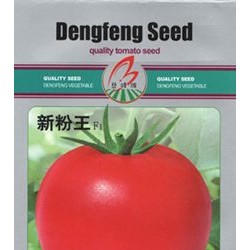供应新粉王—番茄种子