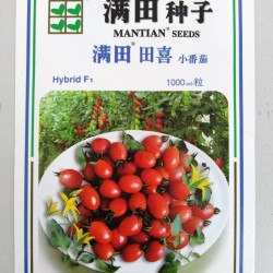 供应田喜樱桃番茄—番茄种子