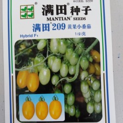 供应满田209樱桃番茄